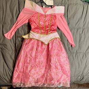 Pink Princess Sleeping Beauty Dress with Gold Accents